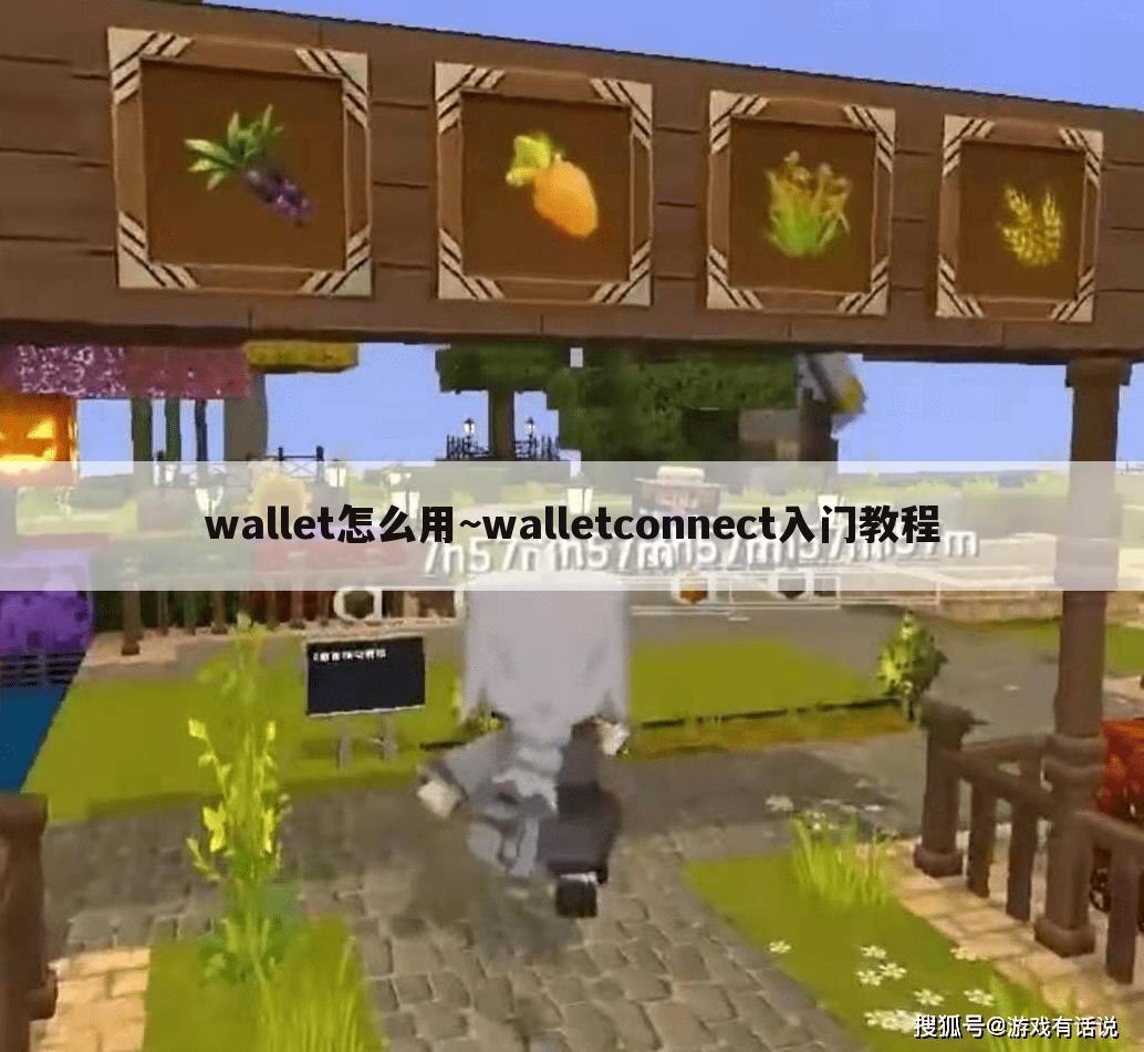 wallet怎么用~walletconnect入门教程