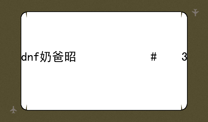 dnf奶爸是什么职业