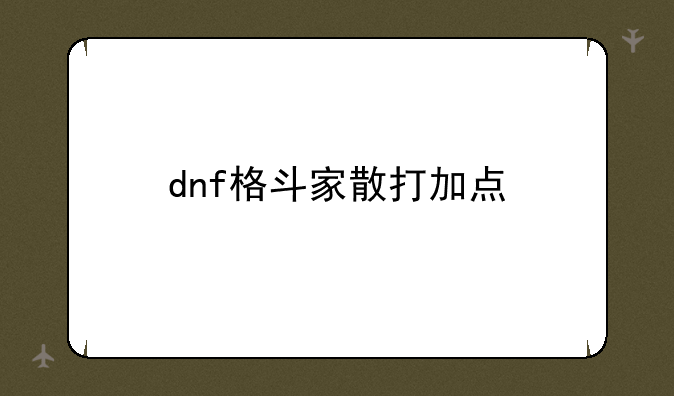 dnf格斗家散打加点