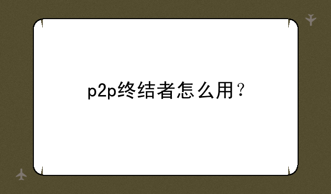 p2p终结者怎么用？