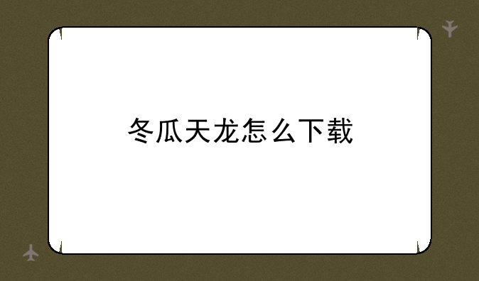 冬瓜天龙怎么下载