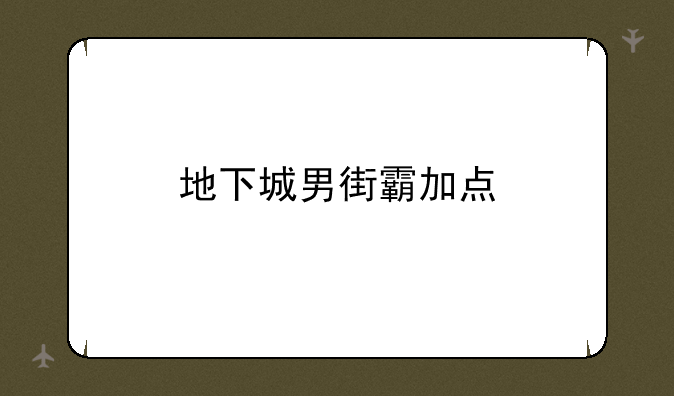 地下城男街霸加点