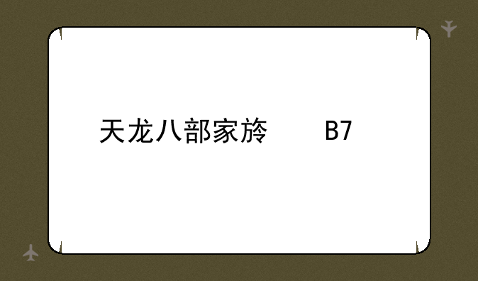 天龙八部家族名字