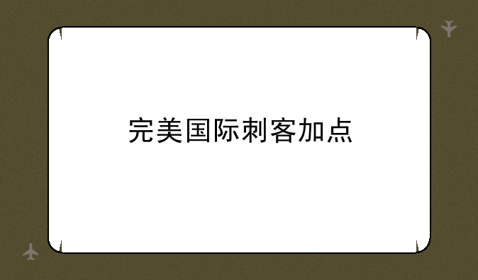 完美国际刺客加点