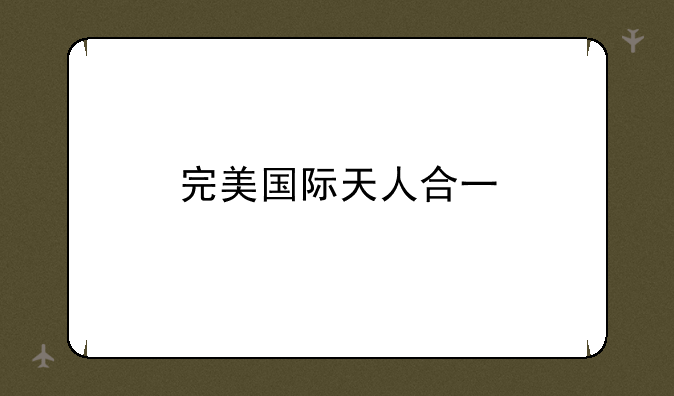 完美国际天人合一