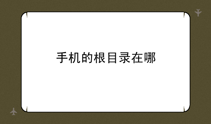 手机的根目录在哪