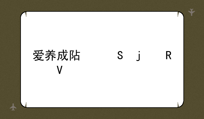 爱养成阿尔的攻略