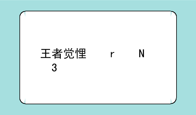 王者觉悟在哪里打