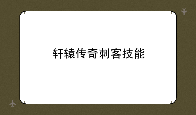 轩辕传奇刺客技能