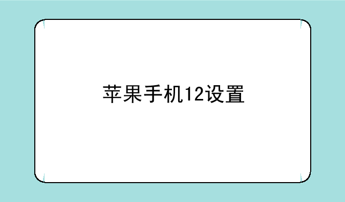 苹果手机12设置