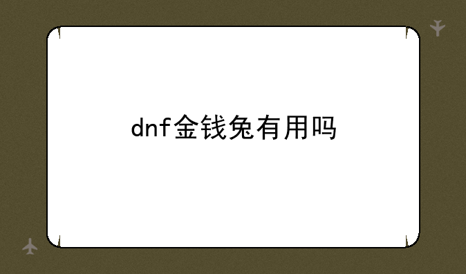 dnf金钱兔有用吗