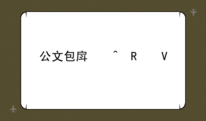 公文包房间攻略