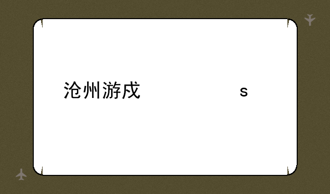 沧州游戏工作室