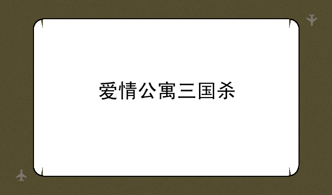 爱情公寓三国杀