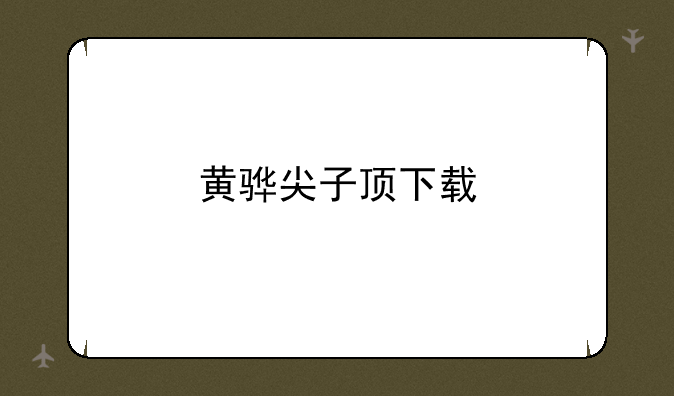 黄骅尖子顶下载