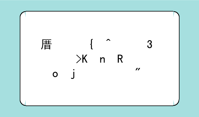 原神旅行者插雷电将军的游戏