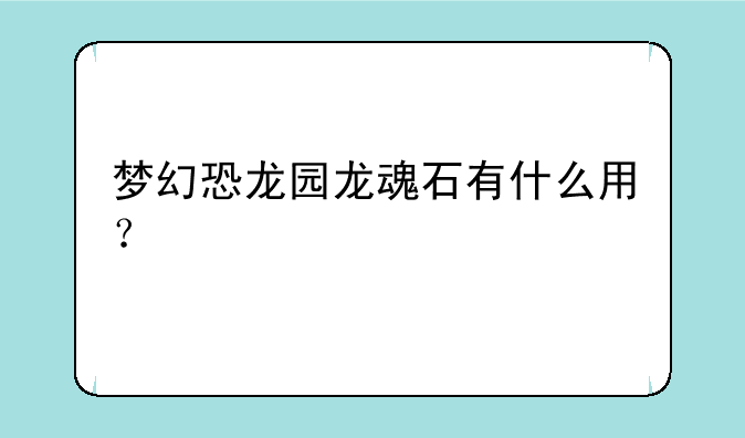 梦幻恐龙园龙魂石有什么用？