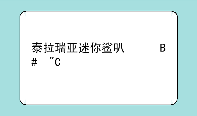 泰拉瑞亚迷你鲨可以合成什么