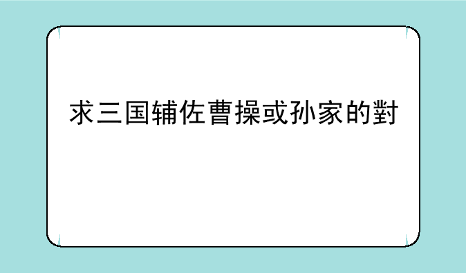 求三国辅佐曹操或孙家的小说