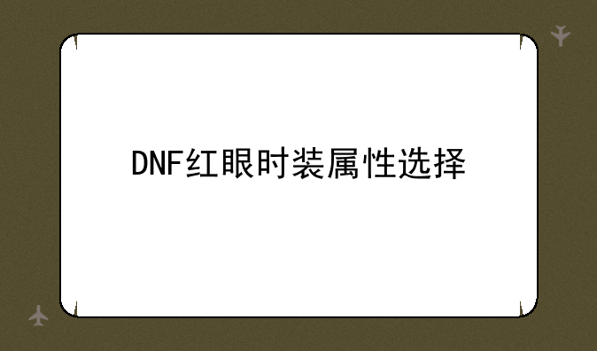 DNF红眼时装属性选择