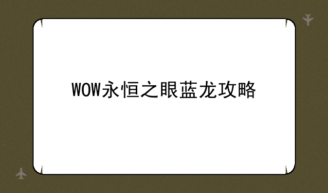 WOW永恒之眼蓝龙攻略