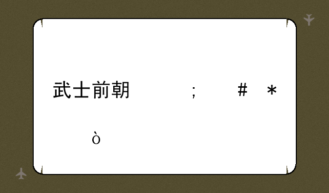武士前期怎么加点？