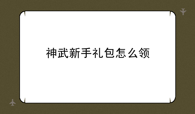 神武新手礼包怎么领