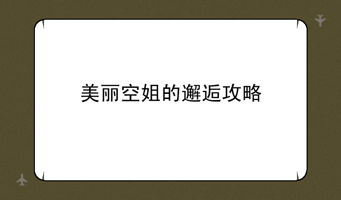 美丽空姐的邂逅攻略