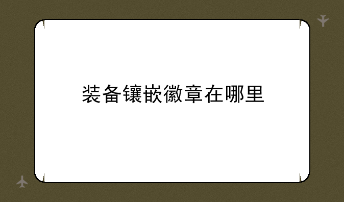 装备镶嵌徽章在哪里
