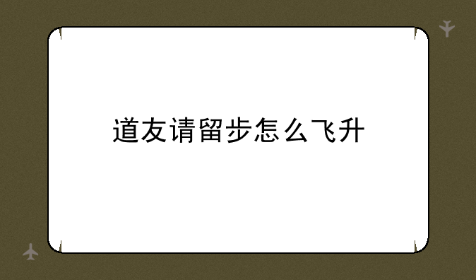 道友请留步怎么飞升