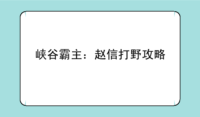 峡谷霸主：赵信打野攻略