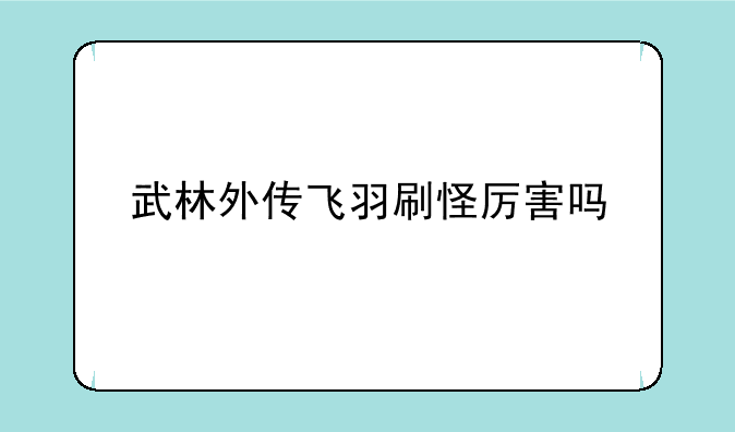 武林外传飞羽刷怪厉害吗
