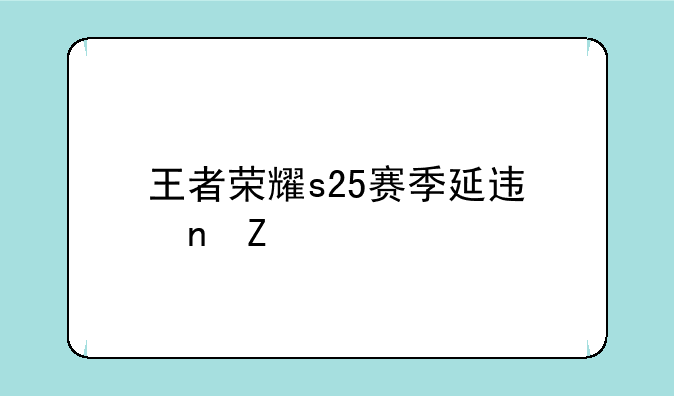 王者荣耀s25赛季延迟更新