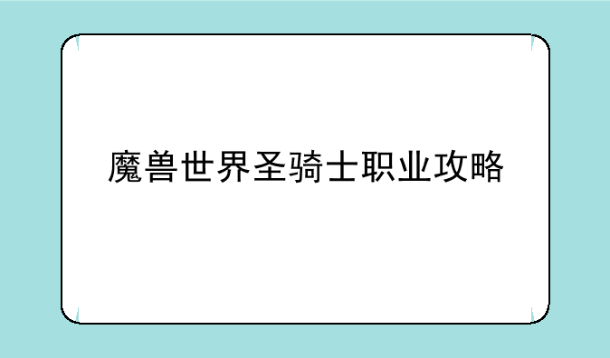 魔兽世界圣骑士职业攻略