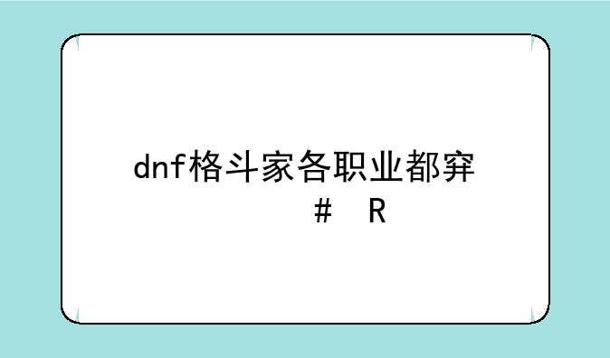 dnf格斗家各职业都穿什么甲