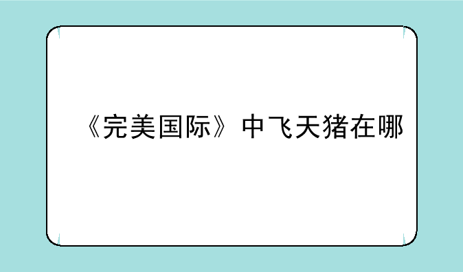 《完美国际》中飞天猪在哪