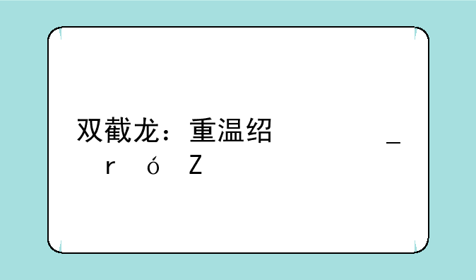 双截龙：重温经典街机格斗