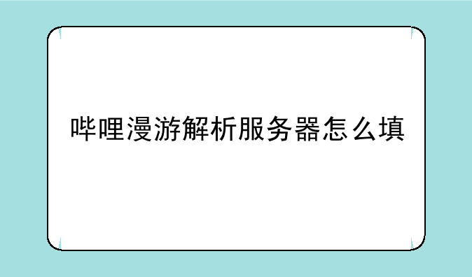 哔哩漫游解析服务器怎么填