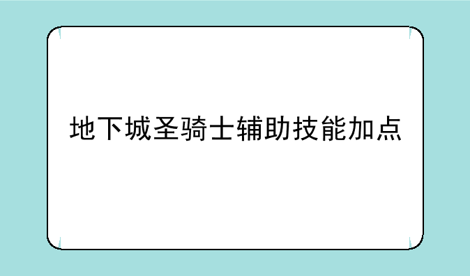 地下城圣骑士辅助技能加点