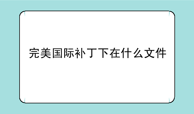 完美国际补丁下在什么文件