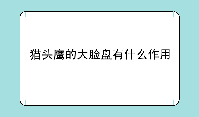 猫头鹰的大脸盘有什么作用