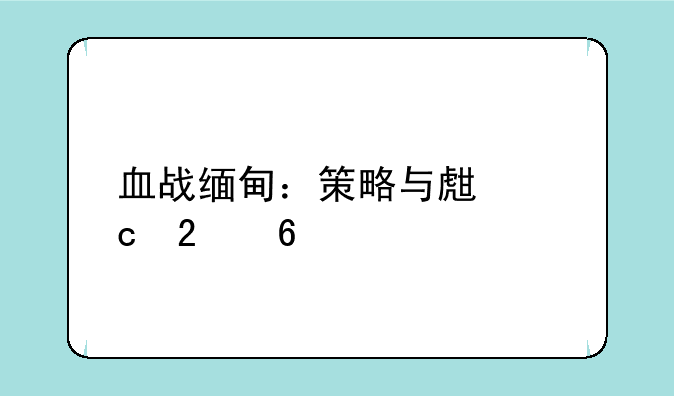 血战缅甸：策略与生存指南