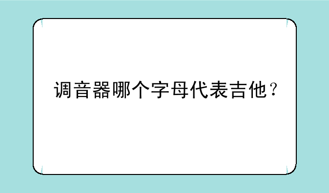 调音器哪个字母代表吉他？