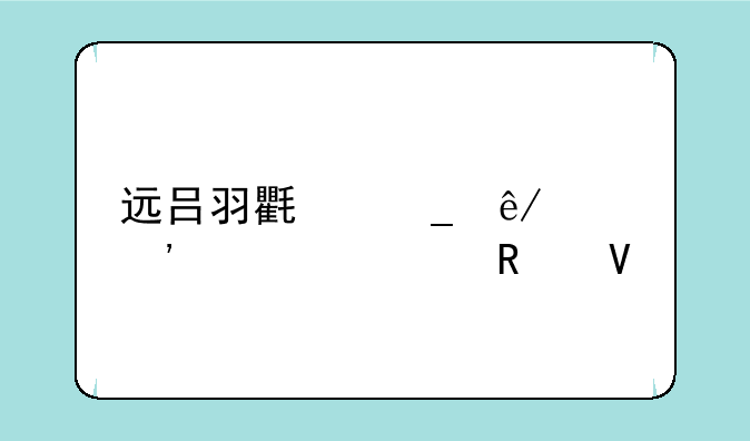 远吕羽氏遗事其三解密攻略