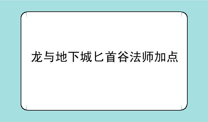 龙与地下城匕首谷法师加点