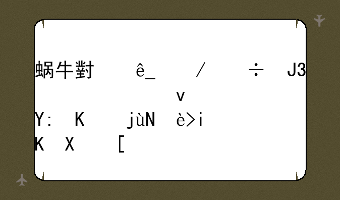 蜗牛小店下载和宠老板，哪个比较有优势？