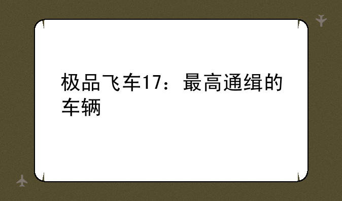 极品飞车17：最高通缉的车辆信息