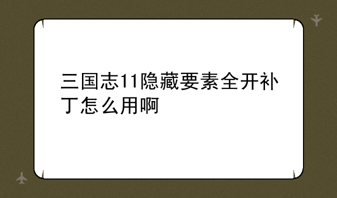 三国志11隐藏要素全开补丁怎么用啊