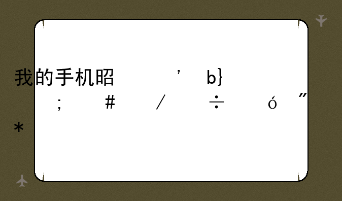 我的手机是三星s5330怎么下载导航犬