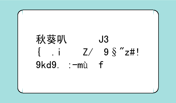 秋葵可以和西红柿还有茄子一起炒嘛？